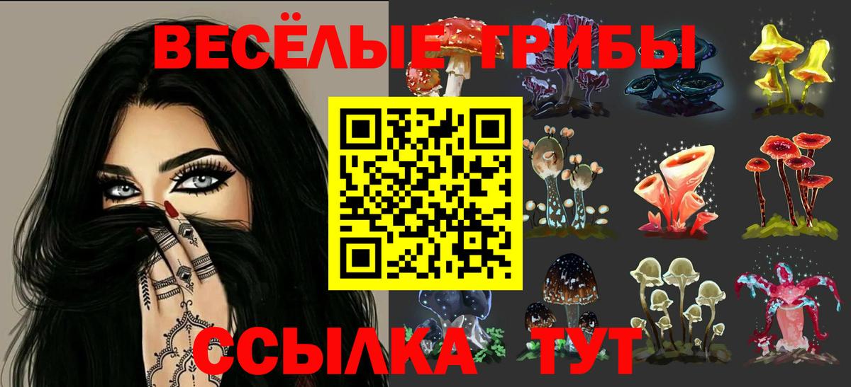 Галлюциногенные грибы Psilocybe Магнитогорск