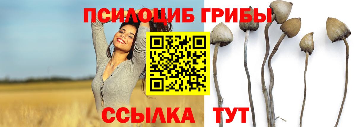 Магнитогорск  Галлюциногенные грибы прущие грибы  Вход с VPN 
